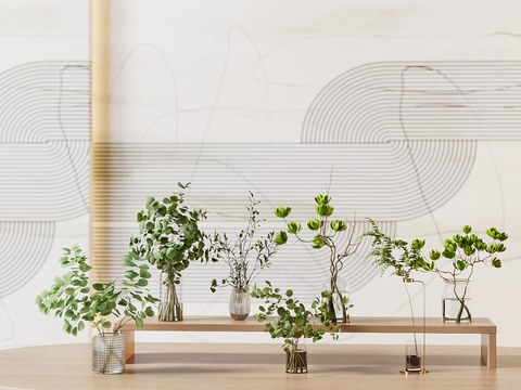  水生植物 水培绿植3d模型 