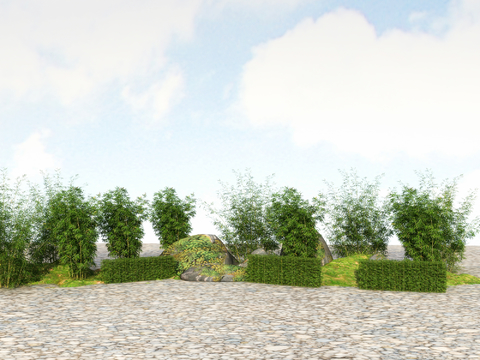  竹子 翠竹 富贵竹3d模型 