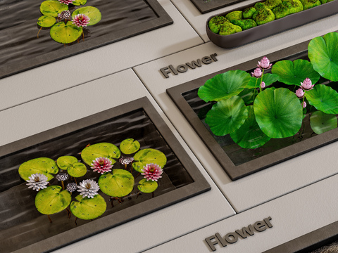  水生植物 荷花 池塘 绿植3d模型 