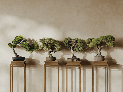  松树盆栽 盆景3d模型 