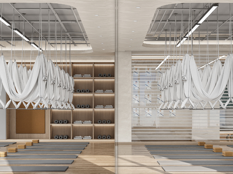  现代瑜伽室 瑜伽馆3d模型 