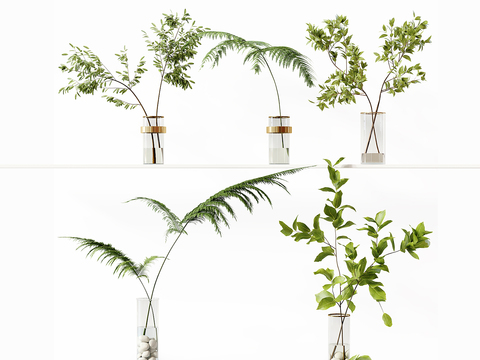  现代水生植物 玻璃盆栽3d模型 