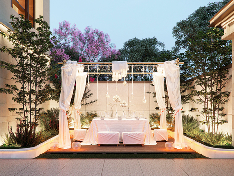  别墅花园 庭院景观3d模型 