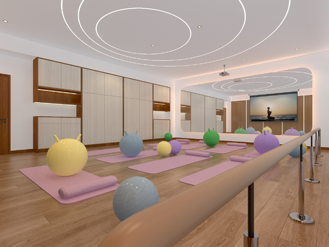  现代月子中心 瑜伽室3d模型 