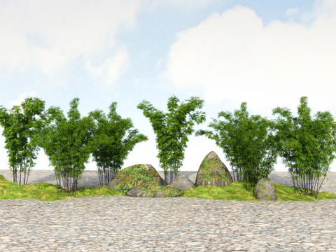  竹子 翠竹 富贵竹3d模型 