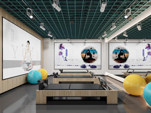  现代健身房 瑜伽室3d模型 