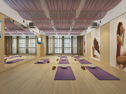  现代瑜伽室3d模型 