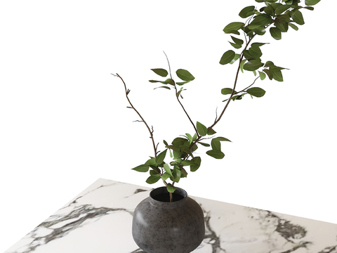  植物盆景 桌面盆景3d模型 