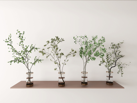  水生植物 水培绿植3d模型 