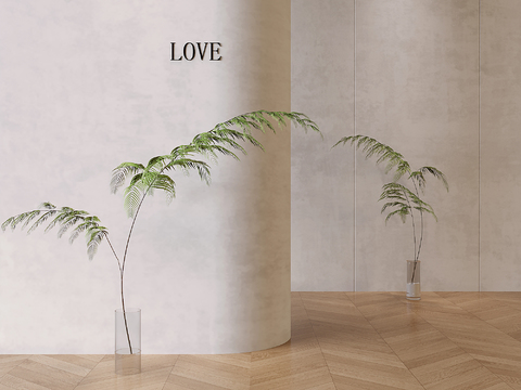  水生植物 蕨类植物3d模型 