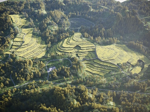  山地景观梯田3d模型 