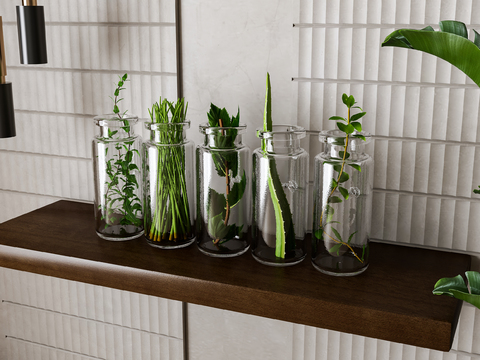  水生植物 水培绿植3d模型 