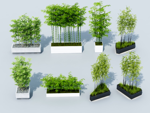  竹子 富贵竹 翠竹3d模型 