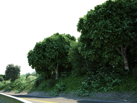  园林景观 林间公路3d模型 