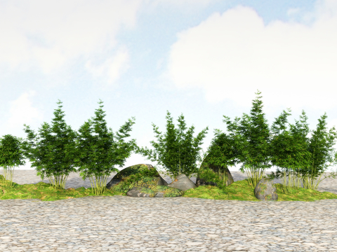  竹子 翠竹 富贵竹3d模型 