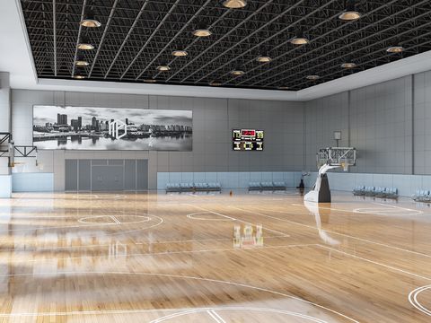  篮球场 球馆3d模型 
