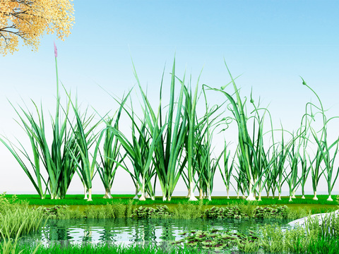  农作物 大蒜3d模型 