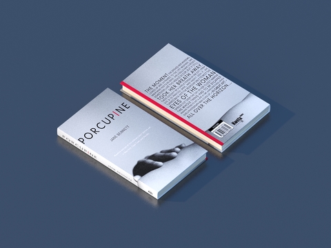  书本 名著小说 杂志 书刊3d模型 