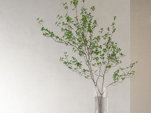  水生植物3d模型 