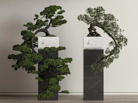  松树盆栽 盆景3d模型 