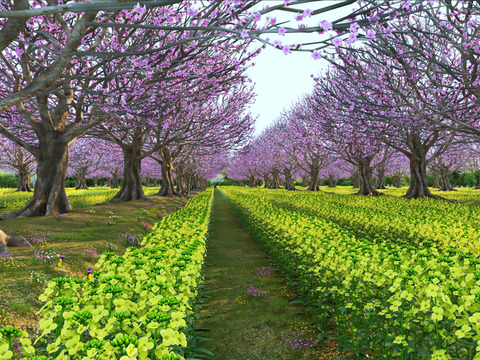  油菜花 油菜地 桃树林 桃花林 林地 田野景观3d模型 