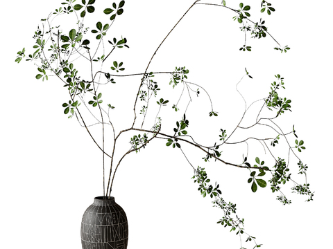  水生植物 水培绿植3d模型 