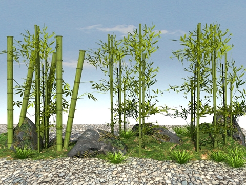  竹子 绿竹3d模型 