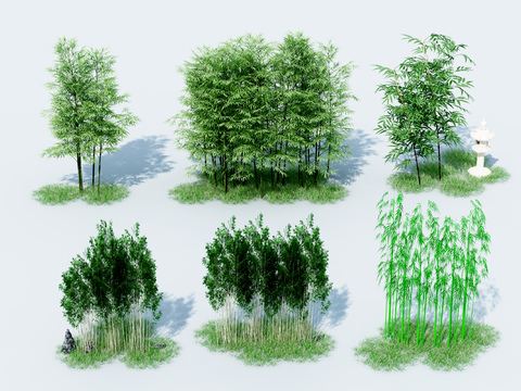  竹子 富贵竹 翠竹3d模型 