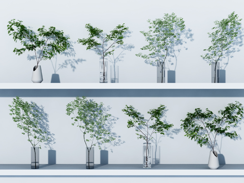  水生植物 水培绿植3d模型 