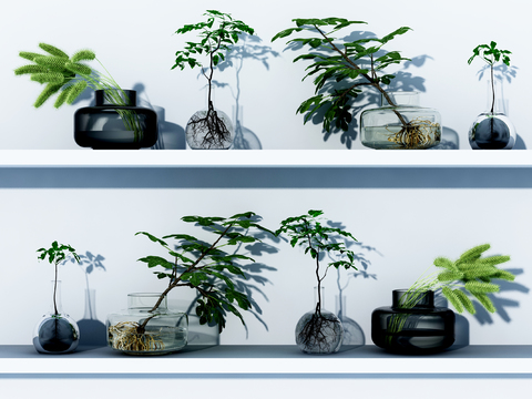  水生植物 水培绿植3d模型 