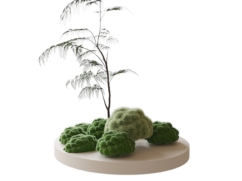  现代植物摆件 盆栽盆景3d模型 