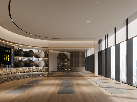  现代瑜伽房 健身房3d模型 