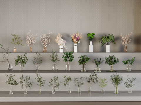  水生植物 水培绿植3d模型 