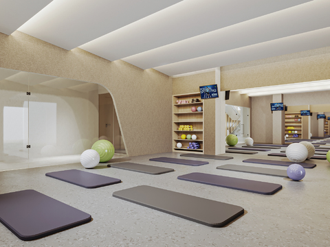  舞蹈室 瑜伽室3d模型 