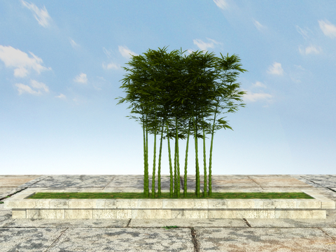  罗汉竹 佛肚竹3d模型 