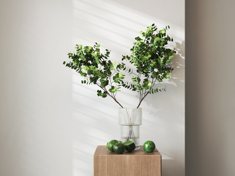  水生植物 绿植花瓶3d模型 