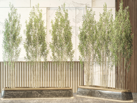  竹子 富贵竹 翠竹3d模型 