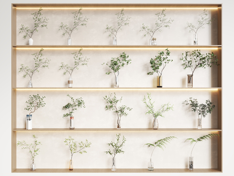  现代水生植物 水培绿植3d模型 