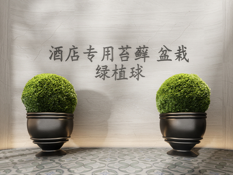  CCD 灌木球盆景 花盆3d模型 