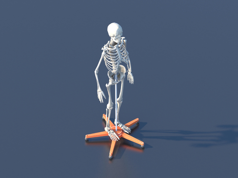  人体骨骼 器材 医疗设备3d模型 