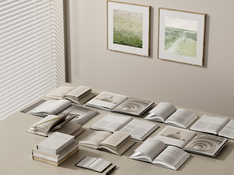  现代书本 书籍 英文书3d模型 