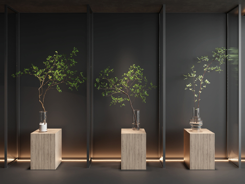  水生植物 水培绿植3d模型 