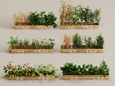  蔬菜农作物盆栽3d模型 