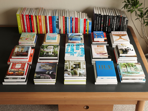  现代书本 书籍 杂志3d模型 