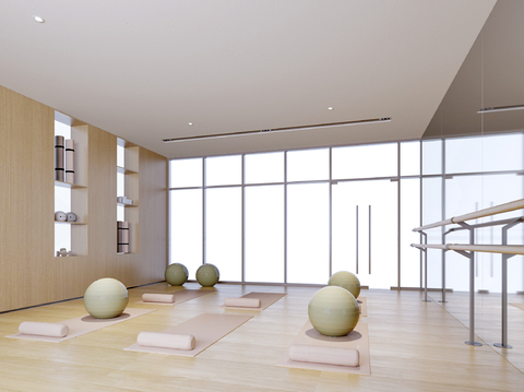  现代舞蹈室 瑜伽室3d模型 