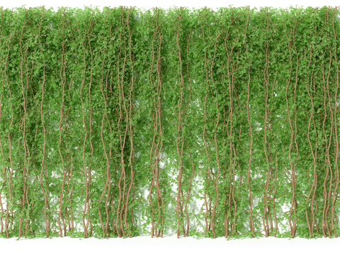  藤蔓植物墙 爬藤3d模型 