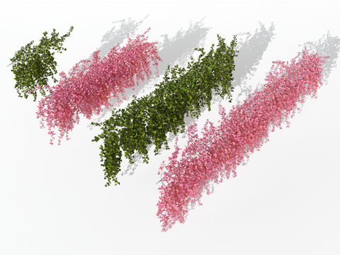  藤蔓 爬藤 植物3d模型 