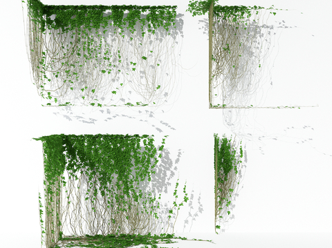  藤蔓植物 爬藤植物 爬山虎3d模型 