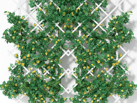  花草组合 绿植 爬藤植物3d模型 