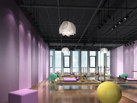  现代瑜伽室 舞蹈室3d模型 